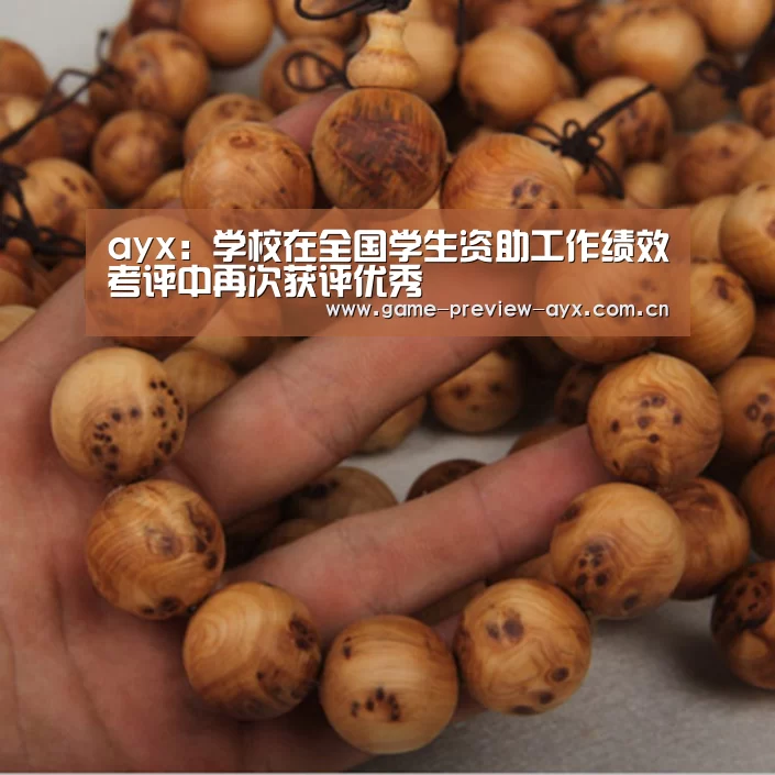 ayx：学校在全国学生资助工作绩效考评中再次获评优秀(图4)
