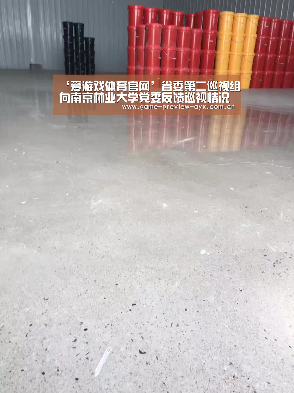 ‘爱游戏体育官网’省委第二巡视组向南京林业大学党委反馈巡视情况(图2) 爱游戏体育官网